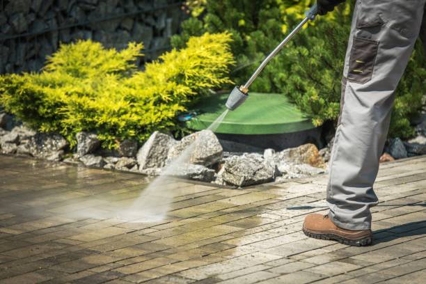 Best Winterizing Services  in Bridgewater, VA
